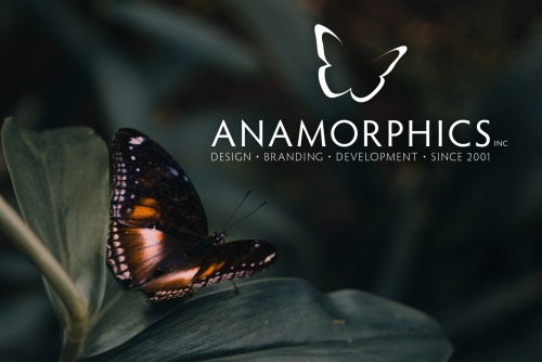 Anamorphics Inc