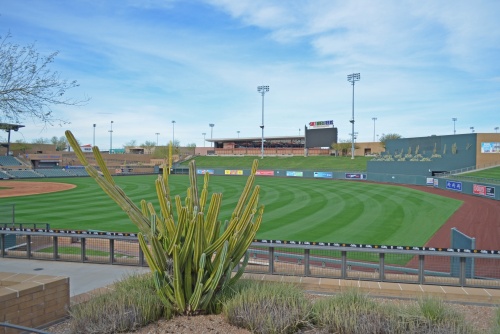 What’s New for Cactus League Spring Training 2025?