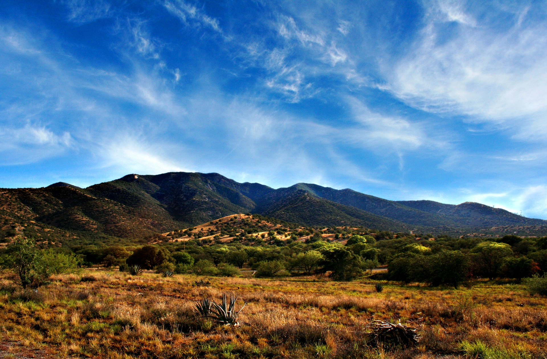 Score Big in Sierra Vista